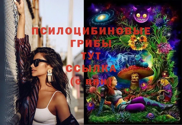 соль ск Алексеевка
