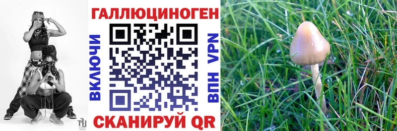 как найти закладки  Абдулино  mega рабочий сайт  Псилоцибиновые грибы мицелий 