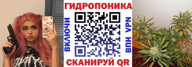 где купить наркоту  Абдулино  Конопля White Widow 